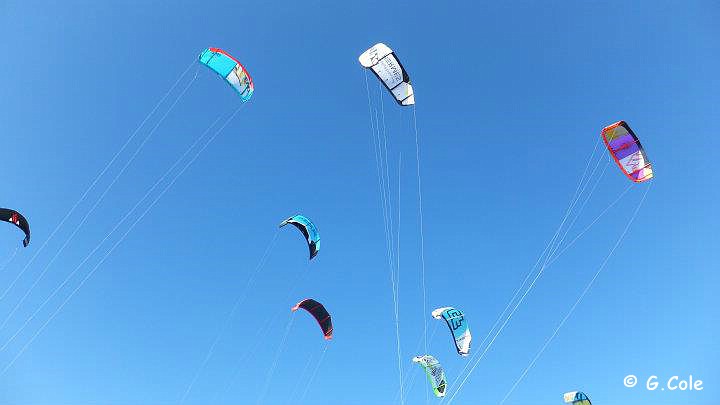 KiteJamboree 2011 -  008